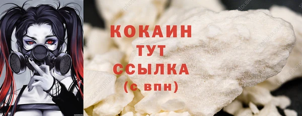 дживик Кулебаки