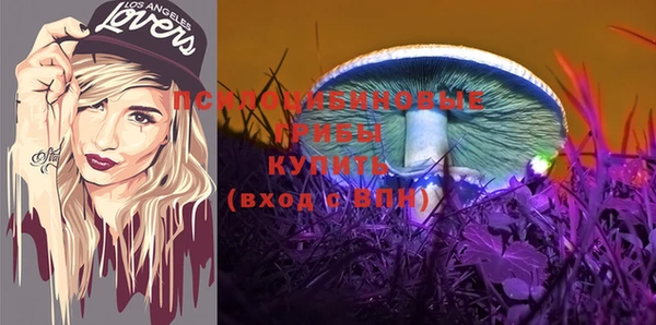 бутират Краснослободск