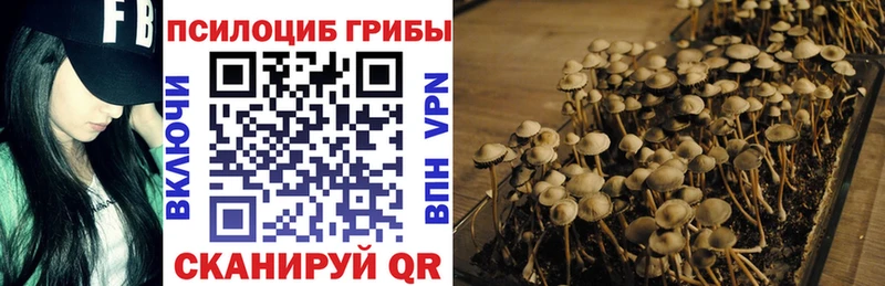 цена наркотик Тимашёвск Галлюциногенные грибы мухоморы